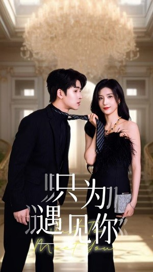 只为遇见你(88集) 只为遇见你(88集)精彩短剧免费看