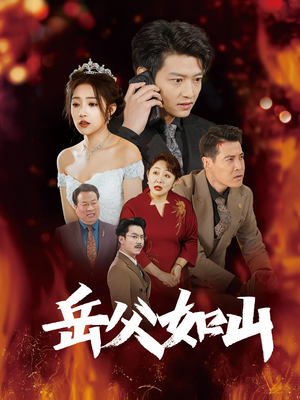 岳父的礼物（30集）精彩不断免费看