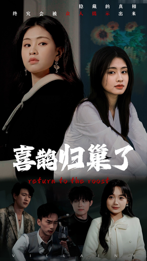 喜鹊归巢了（60集） 短剧在哪里看