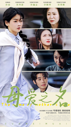 母爱之名(70集)  母爱之名(70集) 在线免费观看