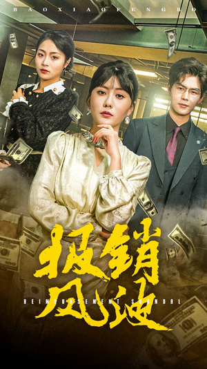 报销风波(54集)  报销风波(54集) 真的好看吗