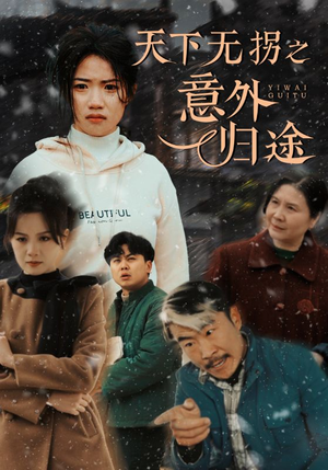 天下无拐之意外归途(61集)  天下无拐之意外归途(61集) 免费短剧推荐