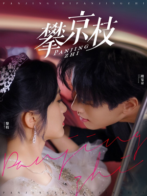 攀京枝(80集)  攀京枝(80集) 看过的人都说好