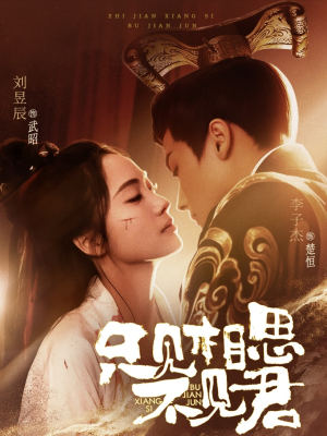 只见相思不见君（82集） 短剧免费分享