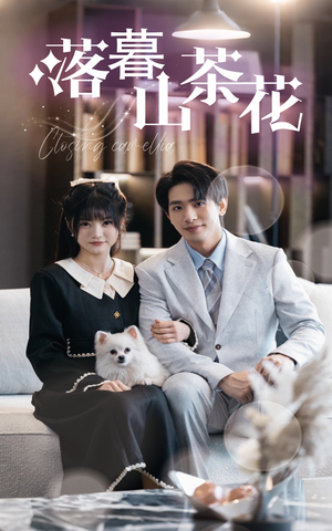 落幕山茶花(50集)  落幕山茶花(50集) 今日短剧分享