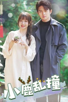 小鹿乱撞（40集） 高清画质免费看