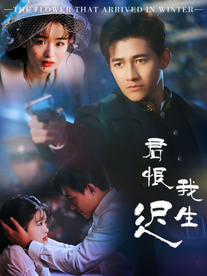 司令府就是我的家（60集） 热门短剧又来了