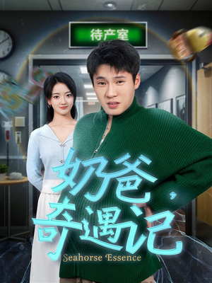 奶爸奇遇记(60集)  奶爸奇遇记(60集) 好看吗