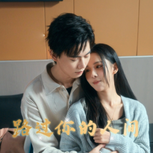 路过你的人间(31集) 路过你的人间(31集)在线看完整版