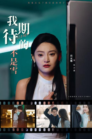 我期待的不是雪(30集) 我期待的不是雪(30集)精彩短剧天天看
