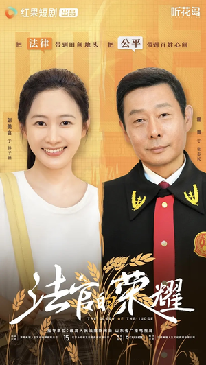 法官的荣耀(5集全) 法官的荣耀(5集全)大结局完美收官