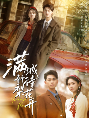 满城静待梨花开(100集) 满城静待梨花开(100集)口碑爆棚免费看