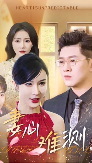 妻心难测(33集) 妻心难测(33集)简直不要太好看