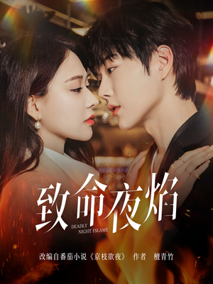 致命夜焰(80集)  致命夜焰(80集) 最后的大结局