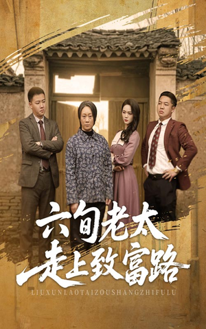 六旬老太走上致富路（60集）好看吗