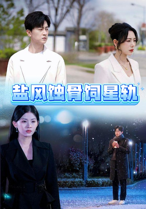 盐风蚀骨饲星轨（60集） 看到大结局