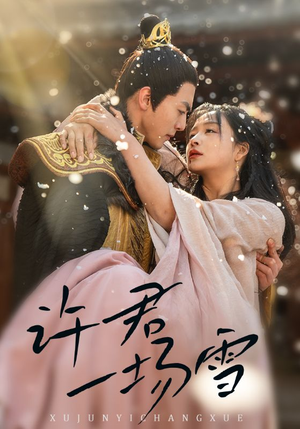 许君一场雪（43集）抢先看热门短剧