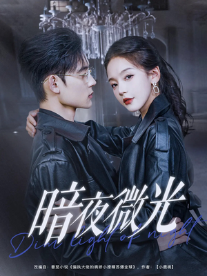 暗夜微光(86集) 暗夜微光(86集)一起追生活短剧