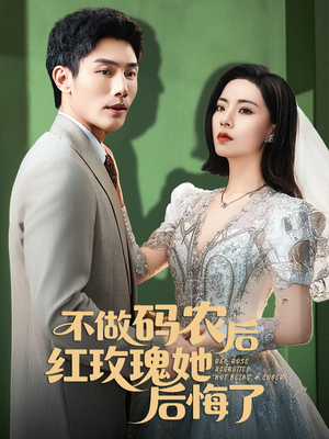 不做码农后红玫瑰她后悔了（60集）在线播放