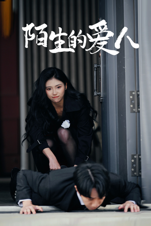 陌生的爱人（60集）短剧有好货推荐