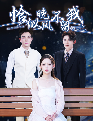 弃他如风(51集) 弃他如风(51集)短剧免费观看