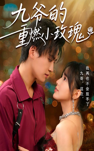 九爷的重燃小玫瑰（67集）直接追到结尾