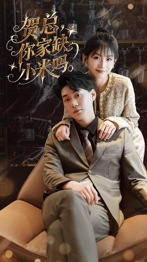 贺总你家缺小米吗(60集) 贺总你家缺小米吗(60集)解说