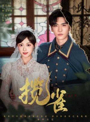 揽雀(61集) 揽雀(61集)高分佳作免费看