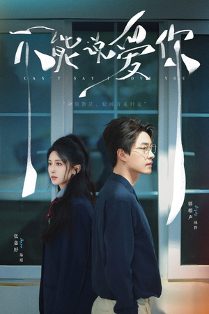 不能说爱你(64集) 不能说爱你(64集)集免费看短剧