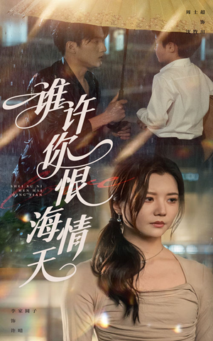 谁许你恨海情天（50集）大结局完美收官