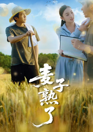 麦子熟了（52集）爱短剧爱追剧