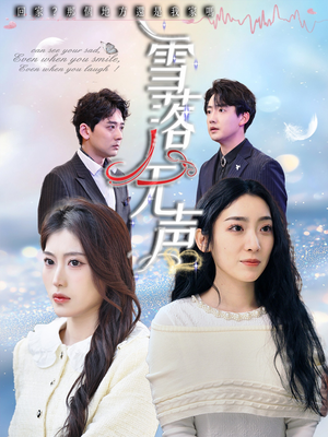 雪落无声（50集）在线观看全集