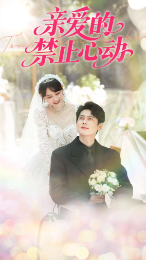亲爱的禁止心动（96集）精彩热门短剧