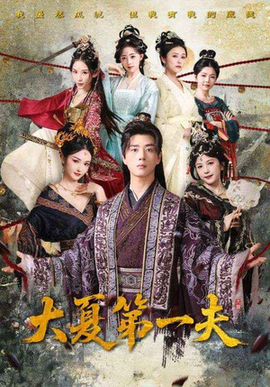 大夏第一夫(90集) 大夏第一夫(90集)精彩短剧免费看