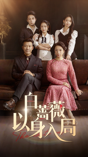 白蔷薇以身入局（82集）短剧上热门