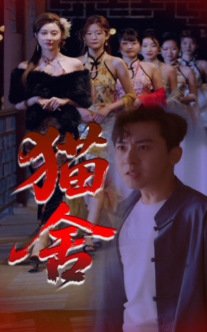 猫舍(34集) 猫舍(34集)精彩短剧又来了