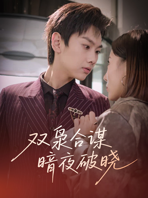 双枭合谋暗夜破晓(30集) 双枭合谋暗夜破晓(30集)短剧追不停