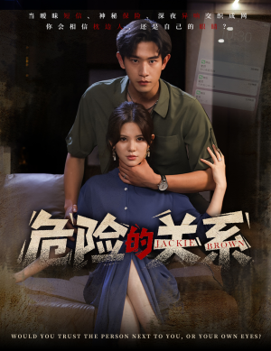 危险的关系（55集）精彩短剧免费看