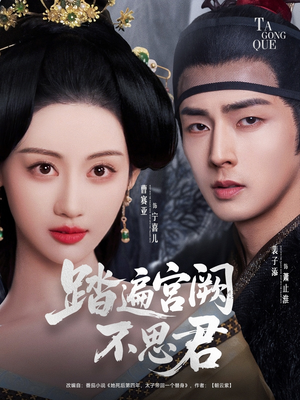 踏遍宫阙不思君（75集）深深爱上这部剧