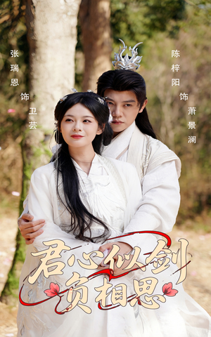 君心似剑负相思（61集）360网盘观看