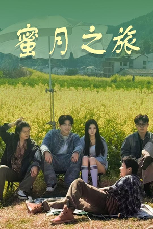 蜜月之旅(35集) 蜜月之旅(35集)爆款短剧推荐