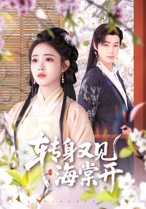 转身又见海棠开(79集) 转身又见海棠开(79集)零花钱看整部剧