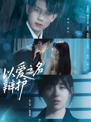 以爱之名辩护(81集) 以爱之名辩护(81集)第一季