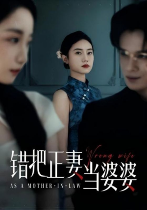 错把正妻当婆婆（46集）热播古装短剧