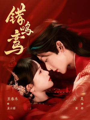 错鸣鸾（75集）精彩短剧分享