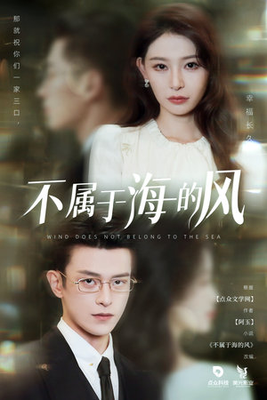 不属于海的风(40集) 不属于海的风(40集)经典老剧免费看