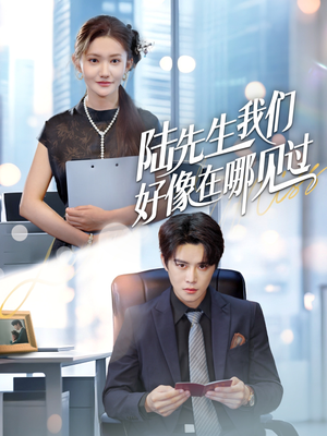 陆先生我们好像在哪见过（70集）小短剧推荐