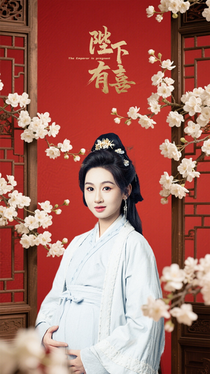 陛下有喜（59集）一口气看完