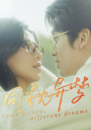 同枕异梦(50集) 同枕异梦(50集)短剧视频分享