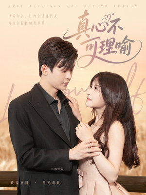 真心不可理喻（81集）完整版免费观看